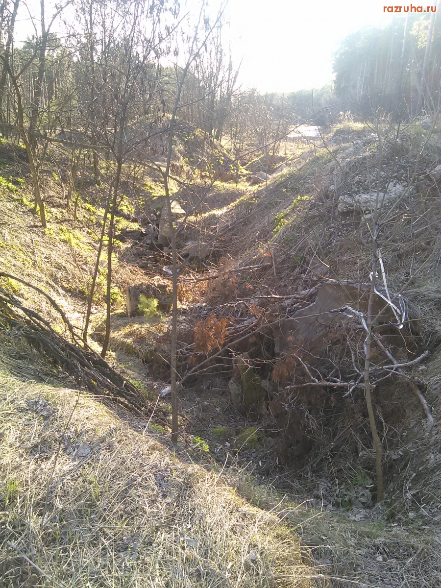 Курск - Лесная канава