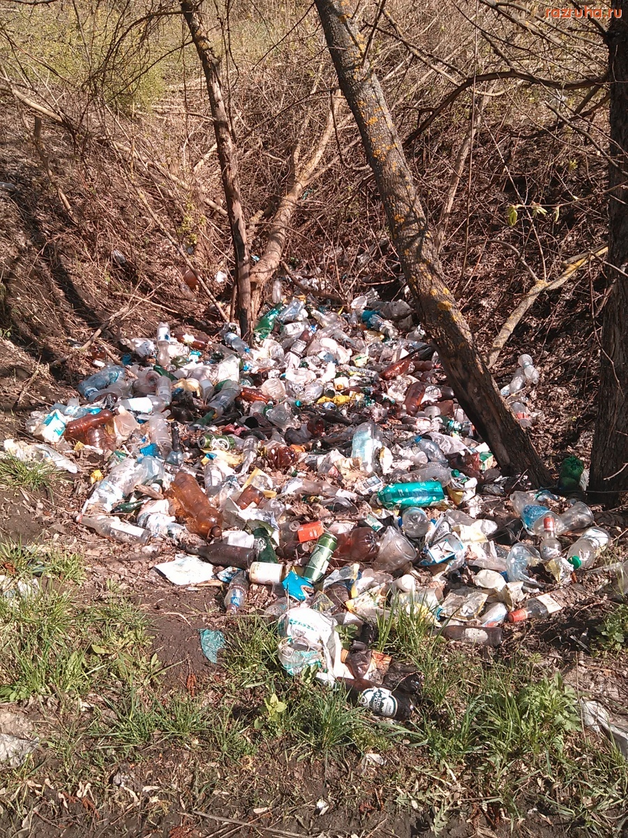 Курск - Куча мусора