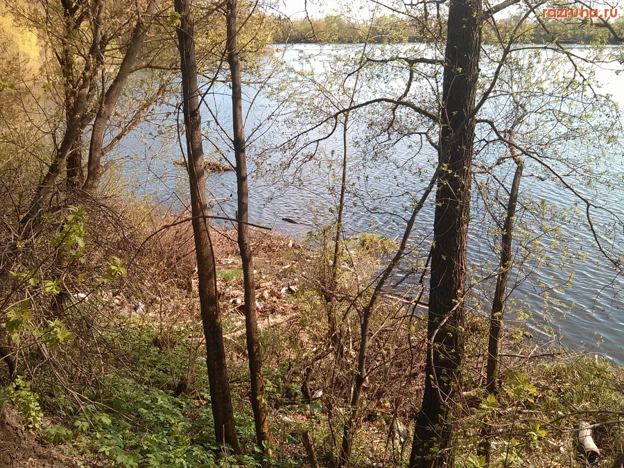 Курск - Мусор прибрежный