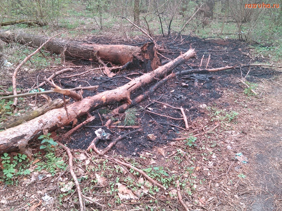 Курск - Сколько уродов