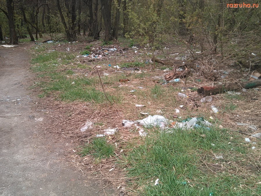 Курск - Мусор в лесу