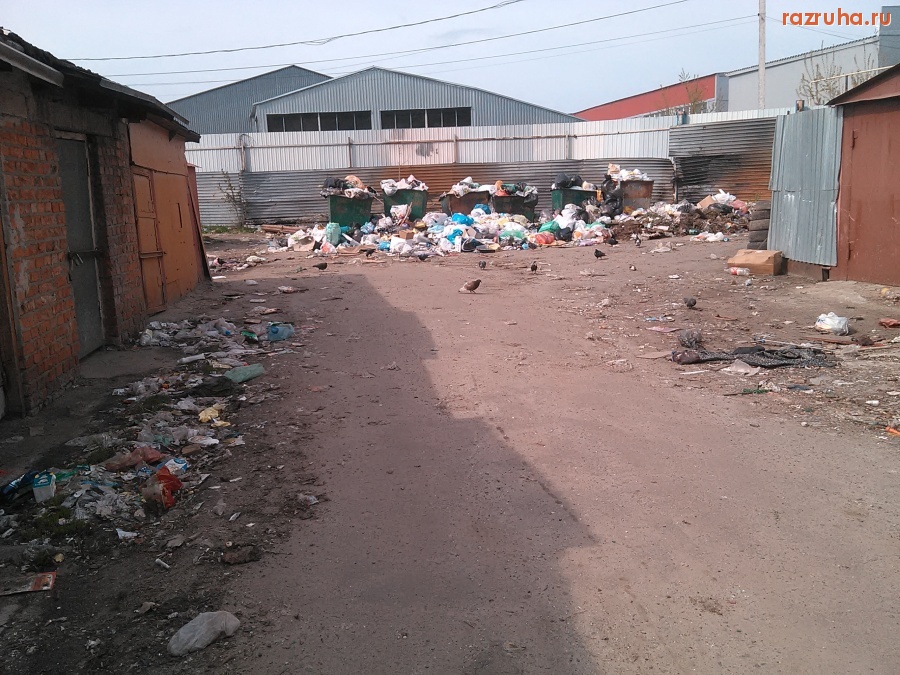 Курск - Переполненная помойка