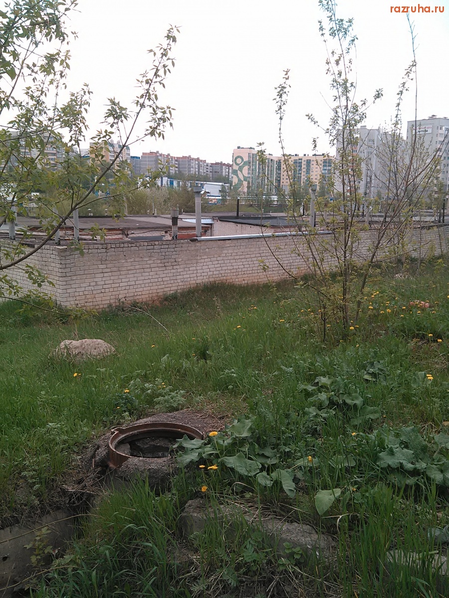 Курск - Люк на Звёздной