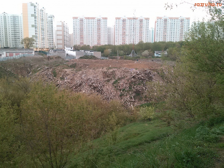 Курск - Загрязнение оврага