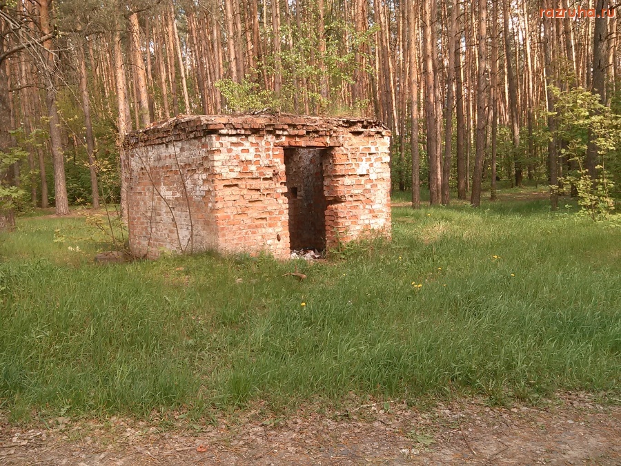 Курск - Будка загаженная