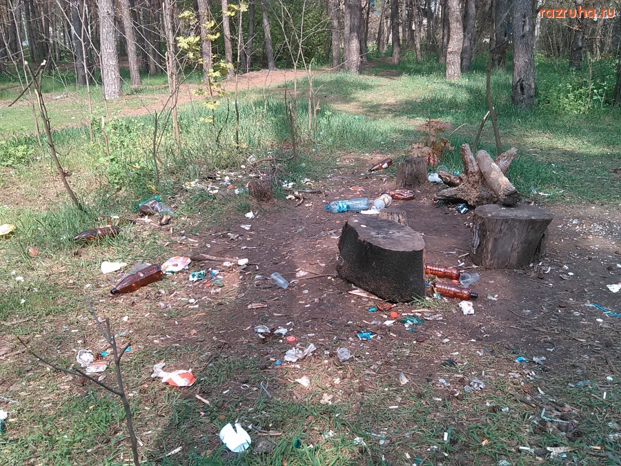 Курск - Нагажено