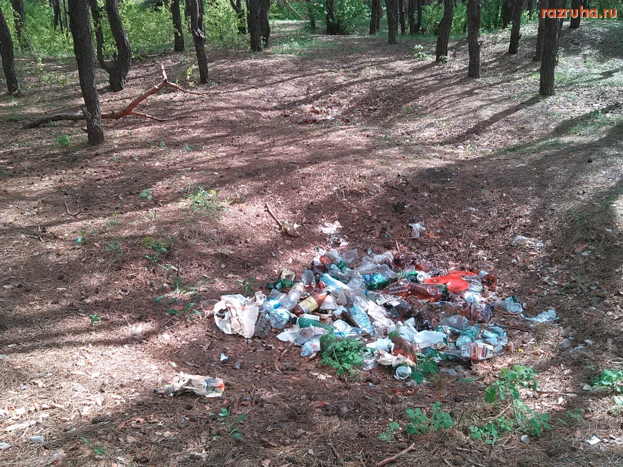 Курск - Кучка мусора в лесу