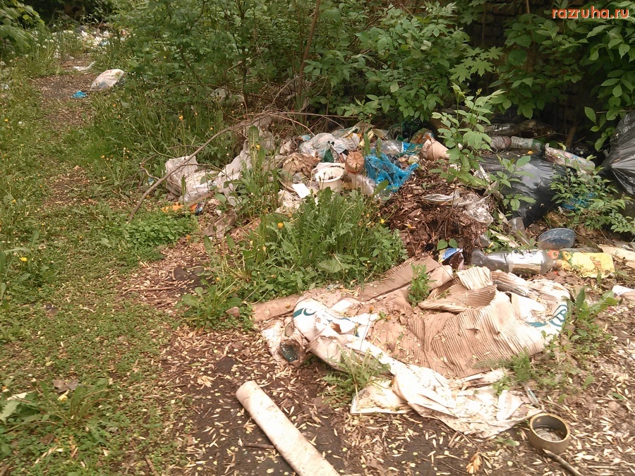 Курск - Свинство на Менделеева