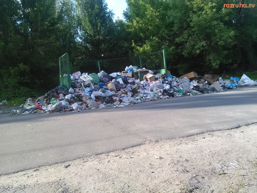 Курск - Куча на мусорке