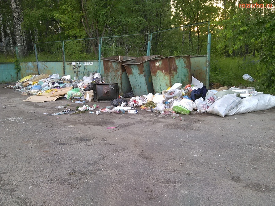 Курск - Помойка на Светлом проезде