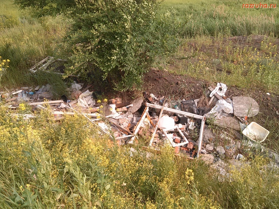 Курск - Гадят в намыве