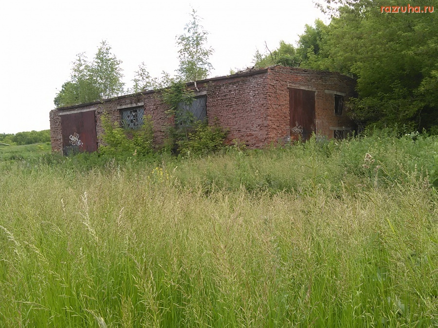 Курск - На крыше растут деревья