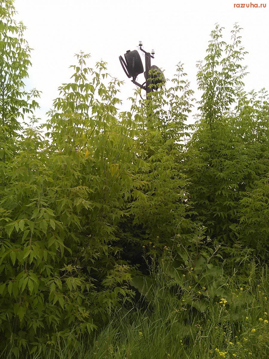 Курск - Фонарь был