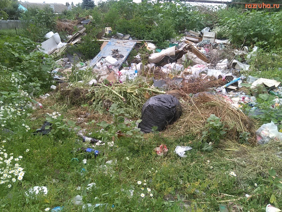 Курск - Заброшенное здание у помойки