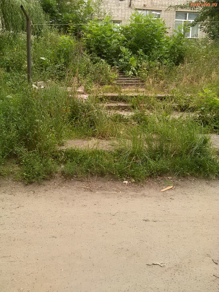 Курск - Лестница заросла