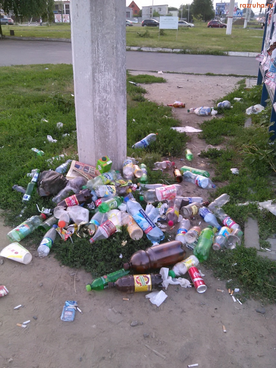 Курск - Культура видна