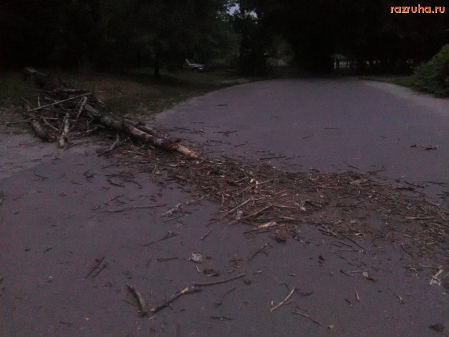 Курск - Сегодняшняя погода