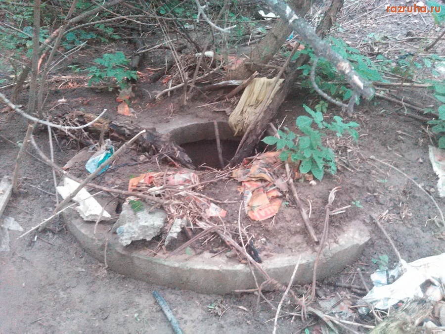 Курск - Лесной люк