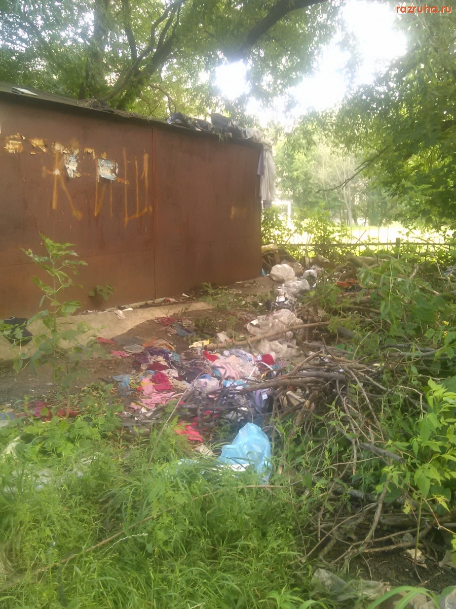 Курск - Гаражное свинство