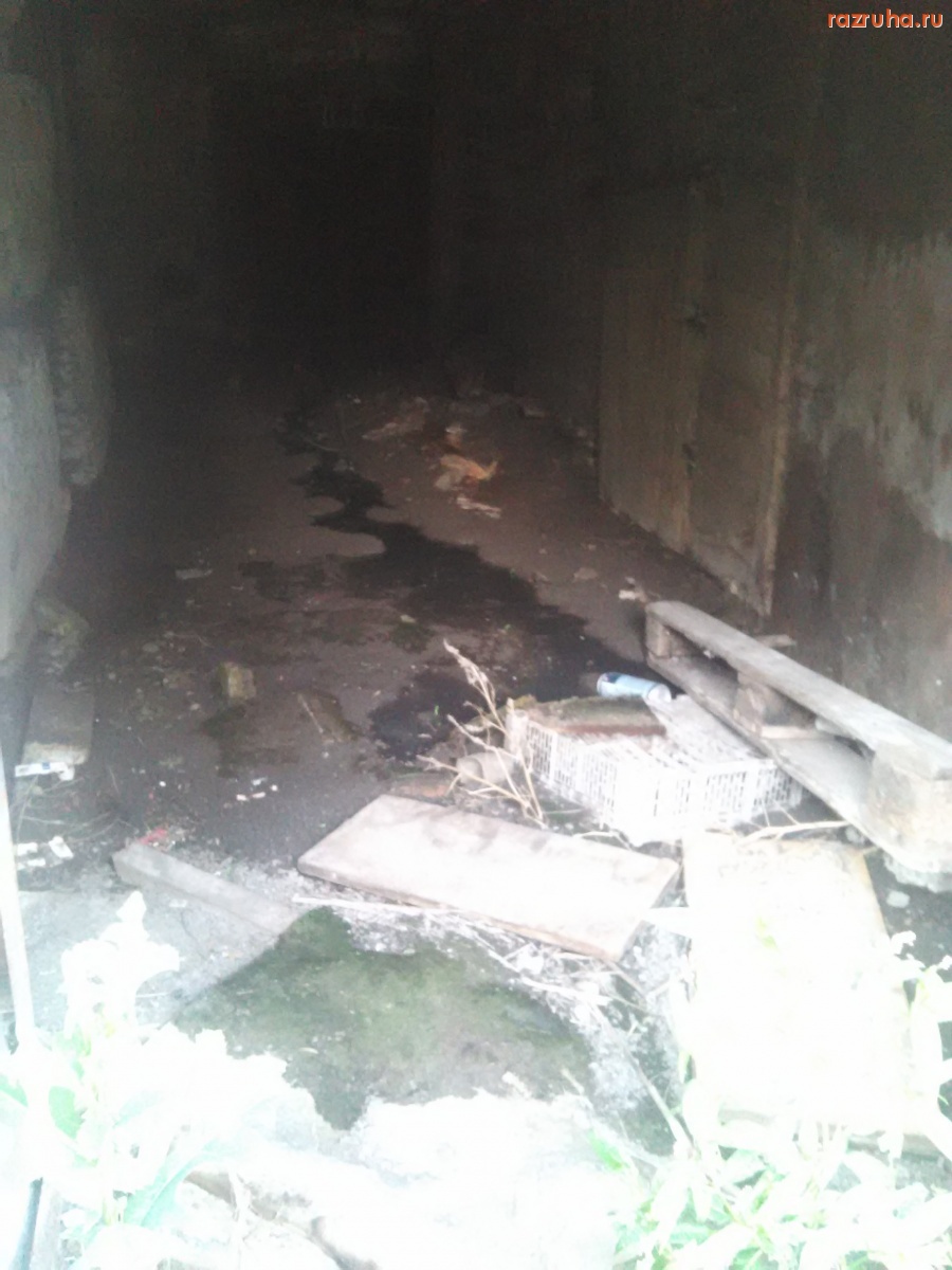 Курск - В подвале воняет