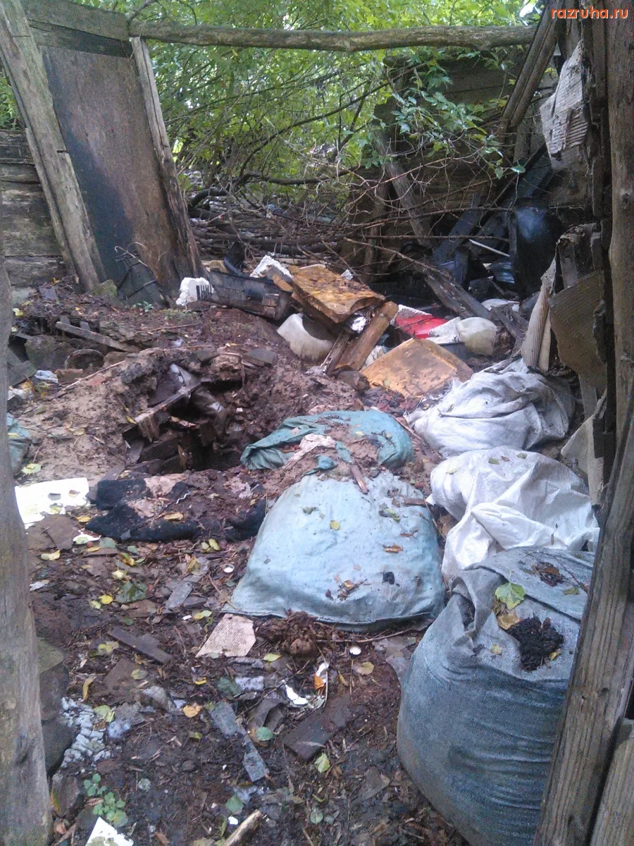 Курск - Свинство на Карла Маркса