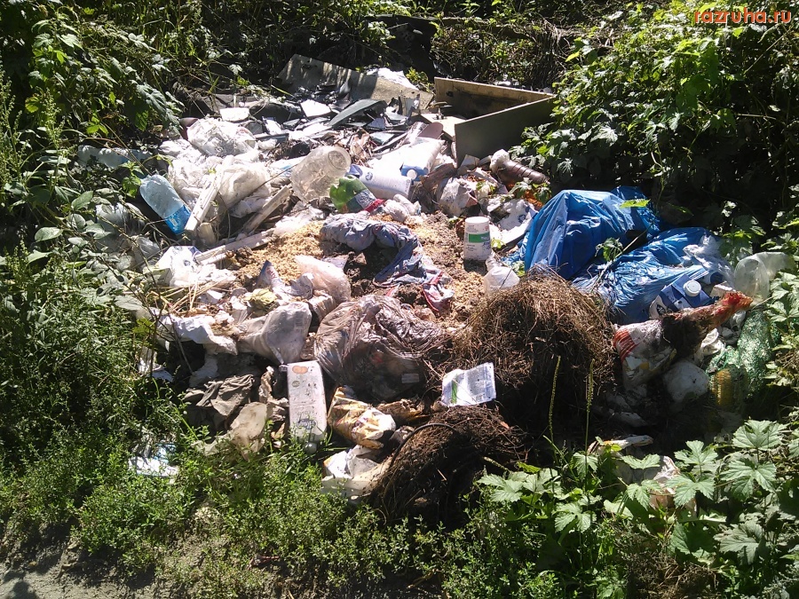 Курск - Придорожный мусор