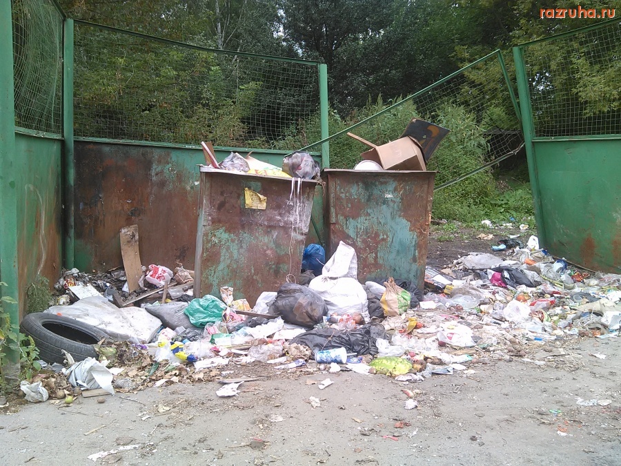 Курск - Свинство на помойке продолжается