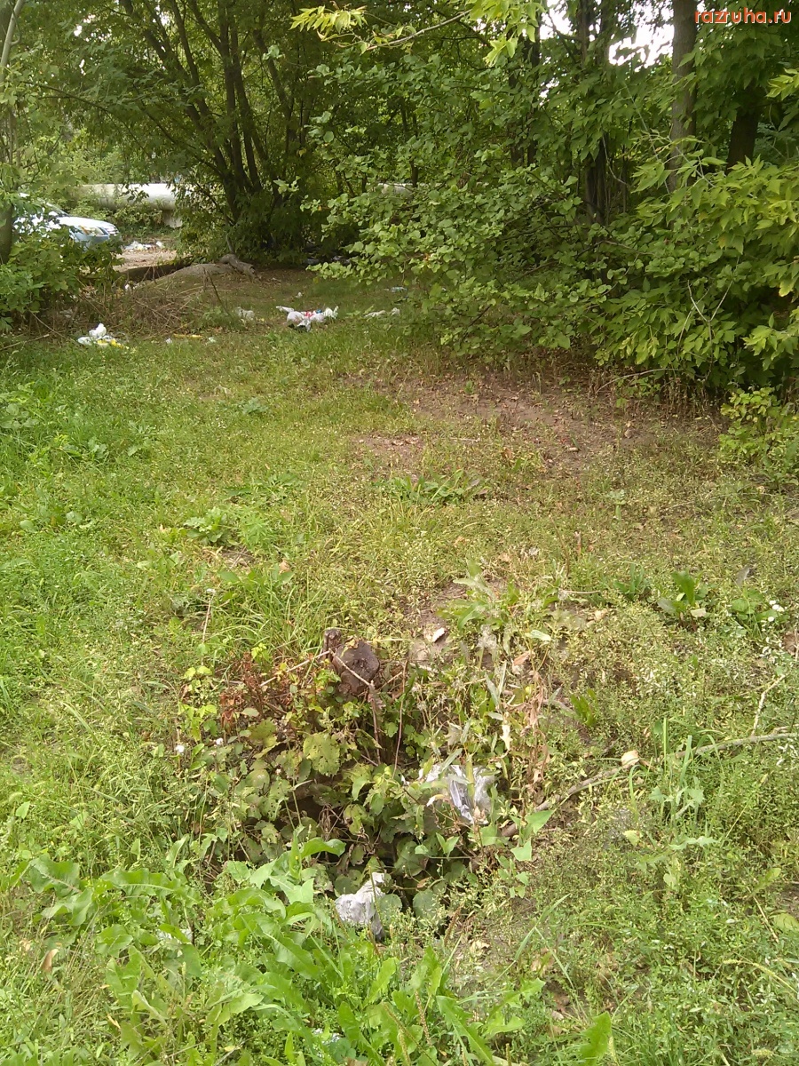 Курск - Люк забился