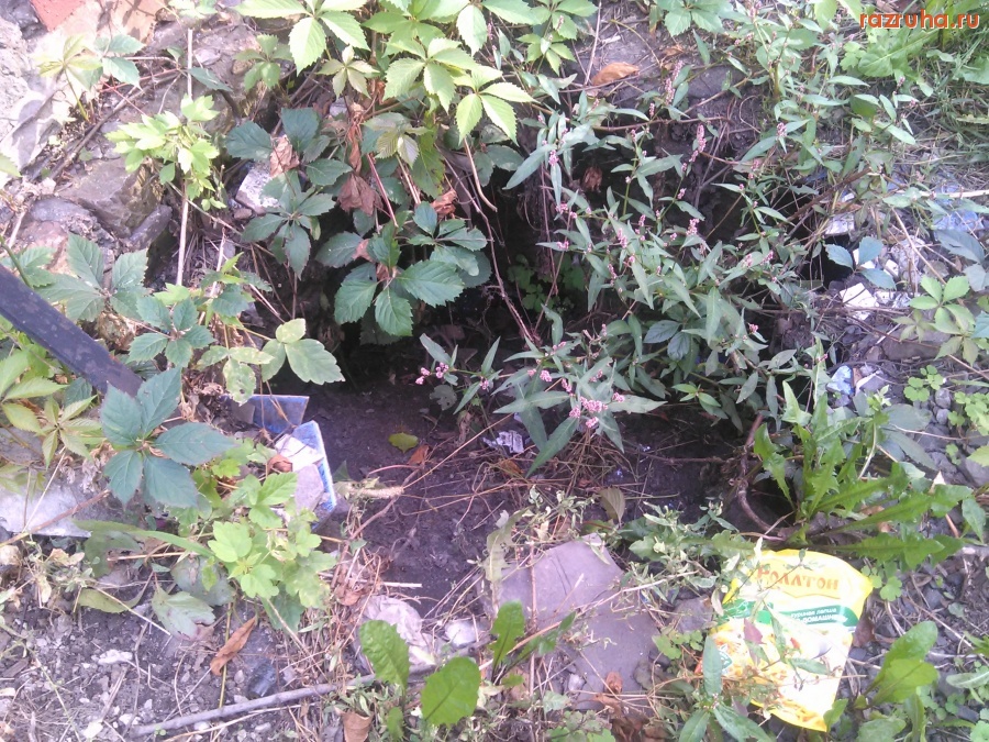 Курск - Дырка