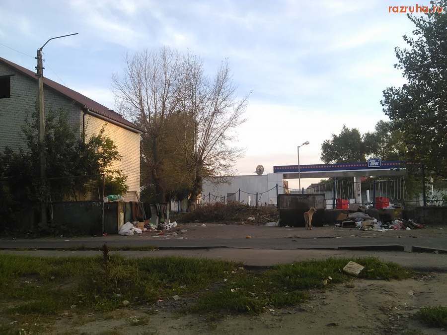 Курск - Куча веток не убирается