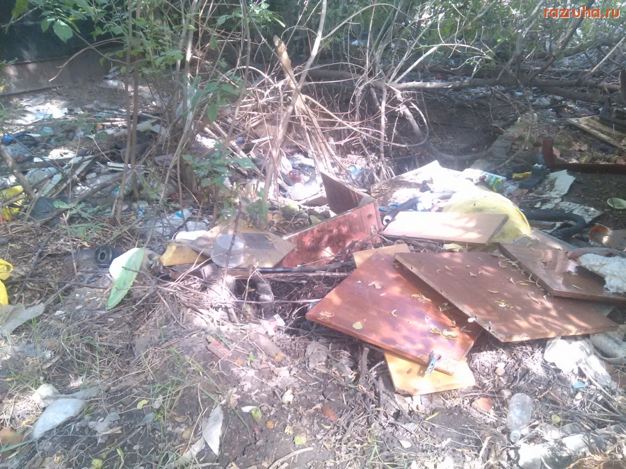 Курск - Продолжение свинства на помойке