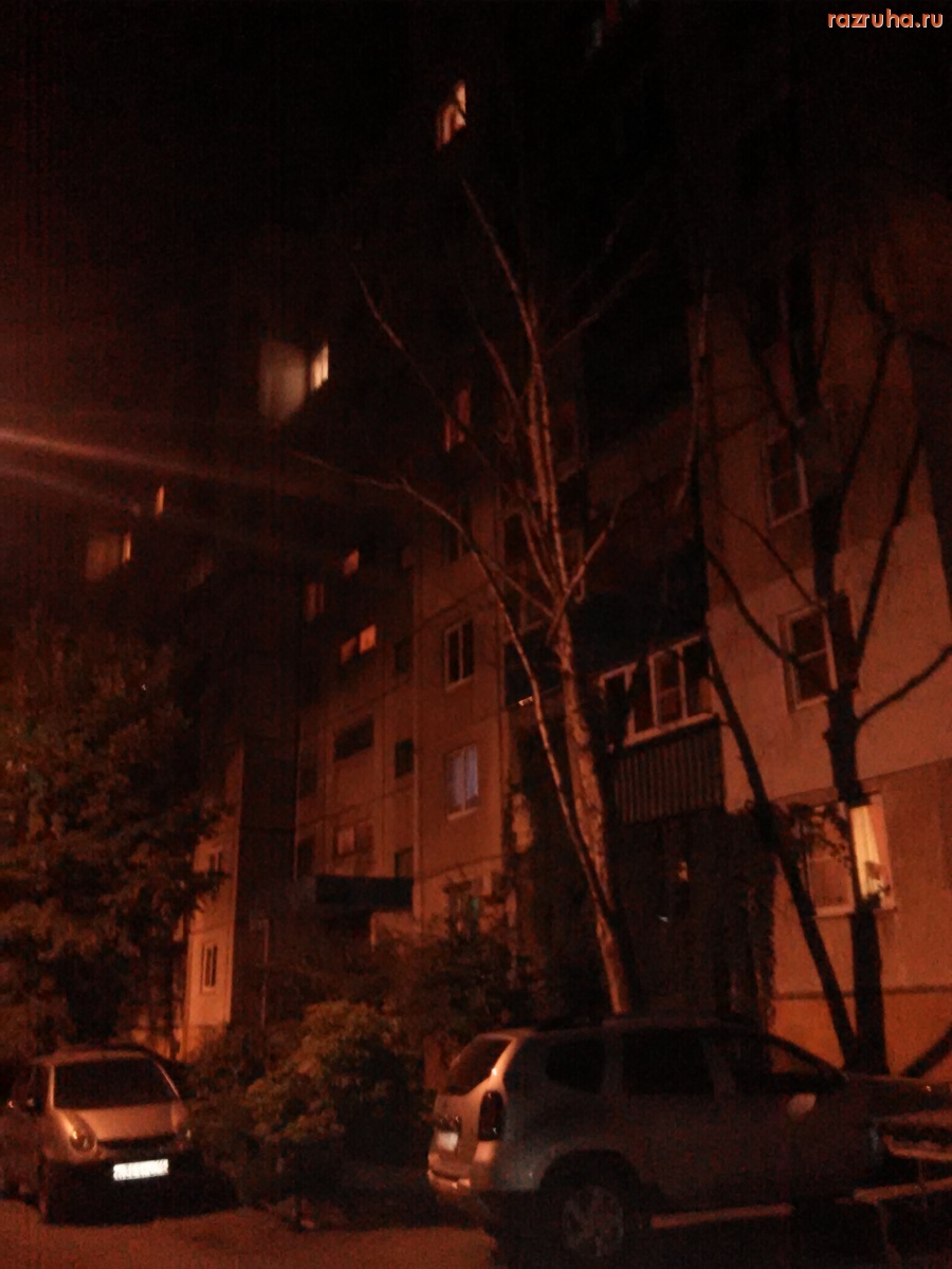 Курск - Высохла берёза