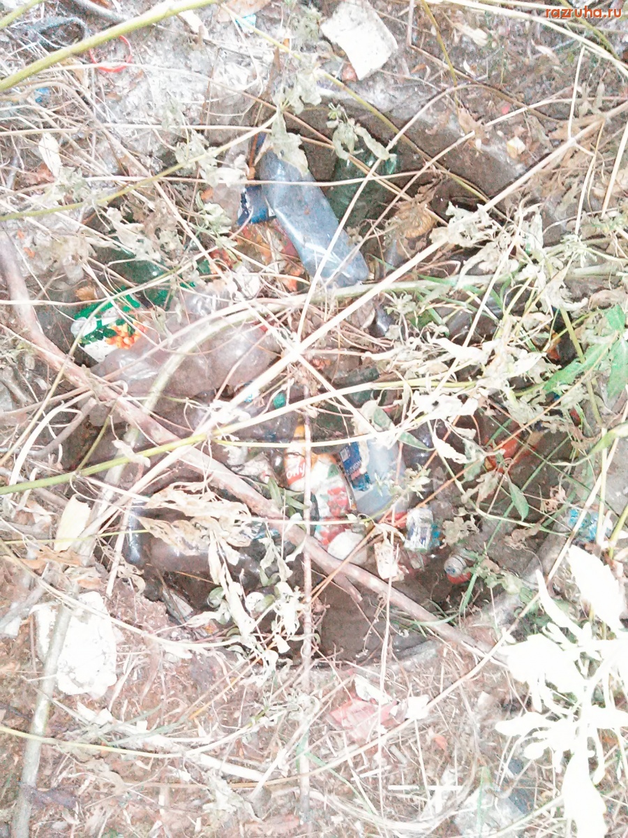 Курск - Люк возле пивной