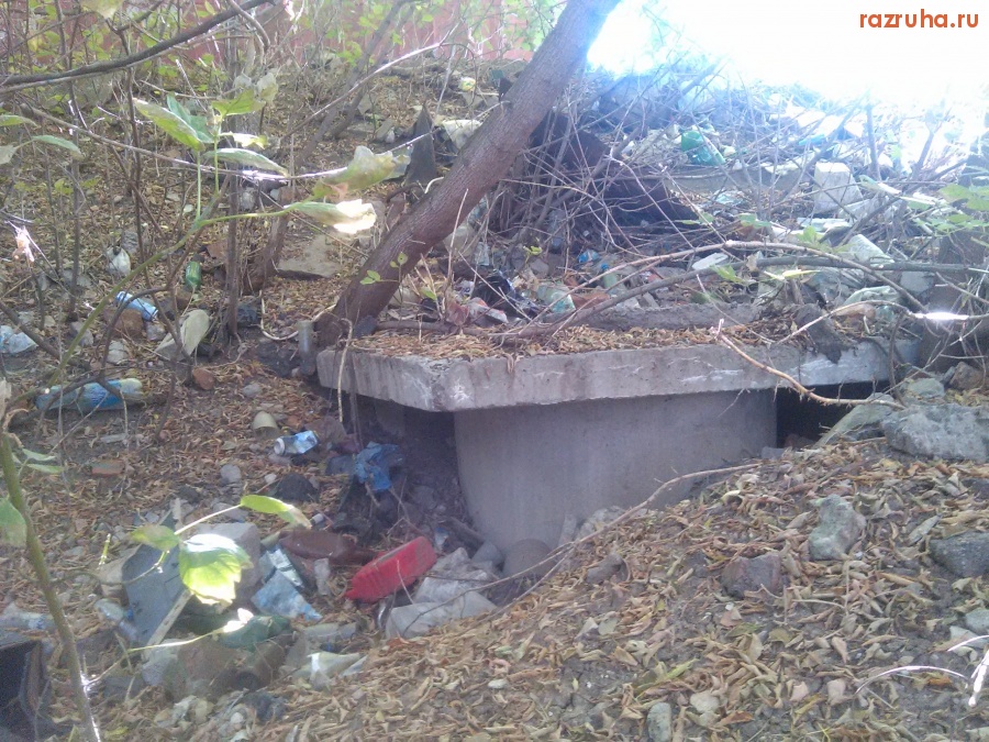 Курск - В ГСК намусорили