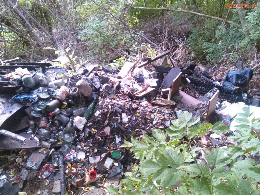 Курск - Мусор в кустах