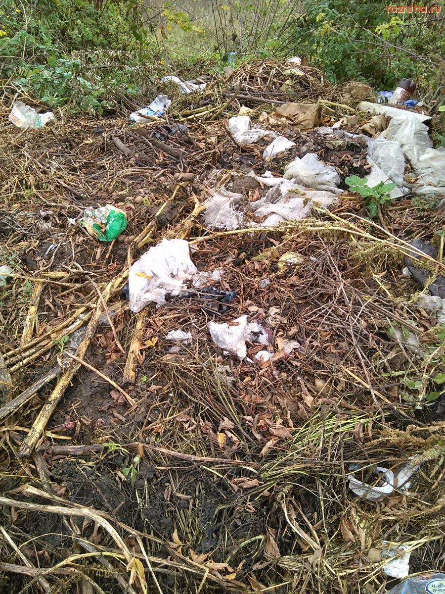 Курск - Кучка мусора