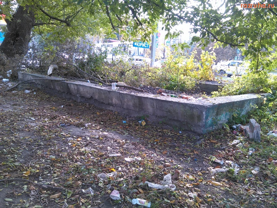 Курск - Продолжает зарастать