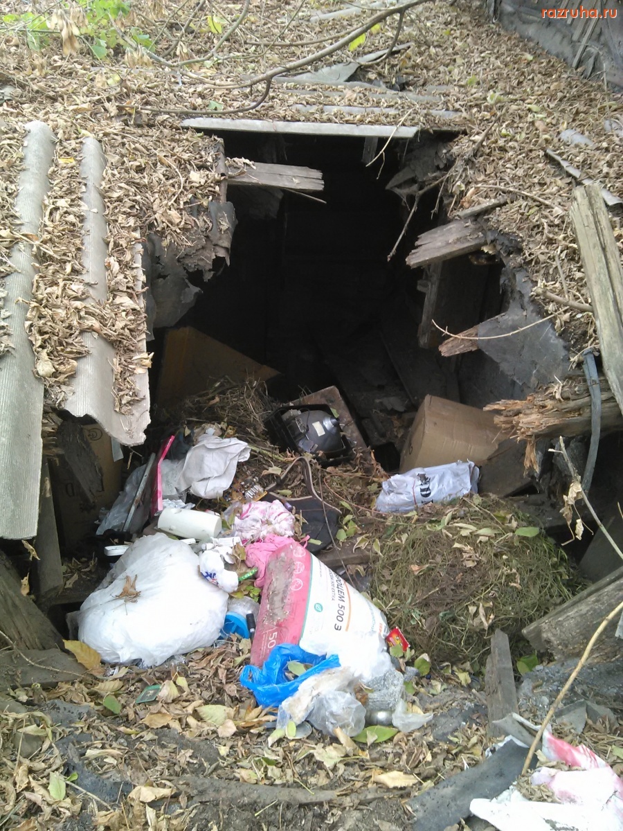 Курск - Ремонт сараев не коснулся