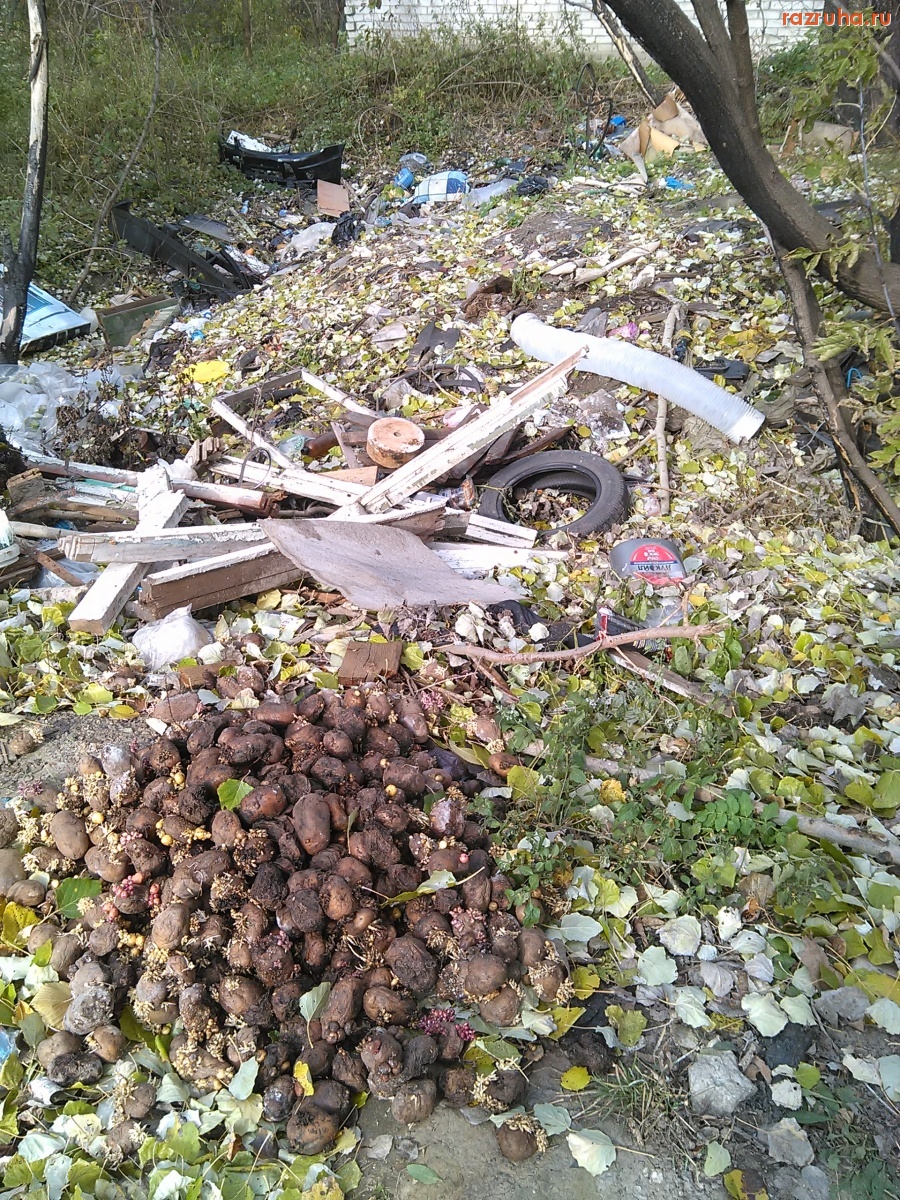 Курск - Мусорная яма