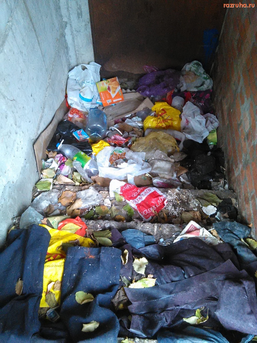 Курск - Бомжатник в полуподземных сараях