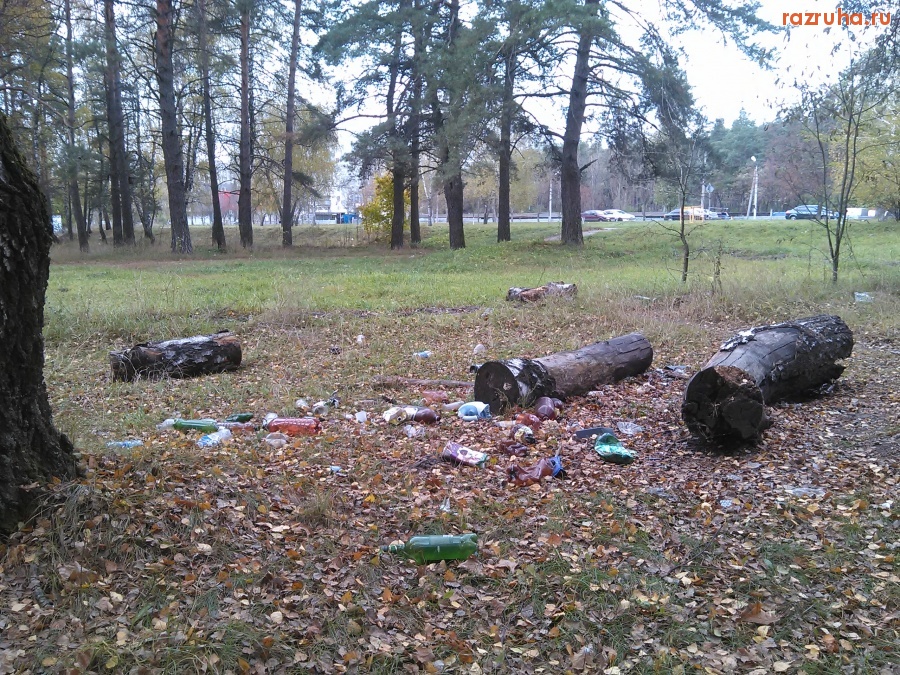 Курск - Культура