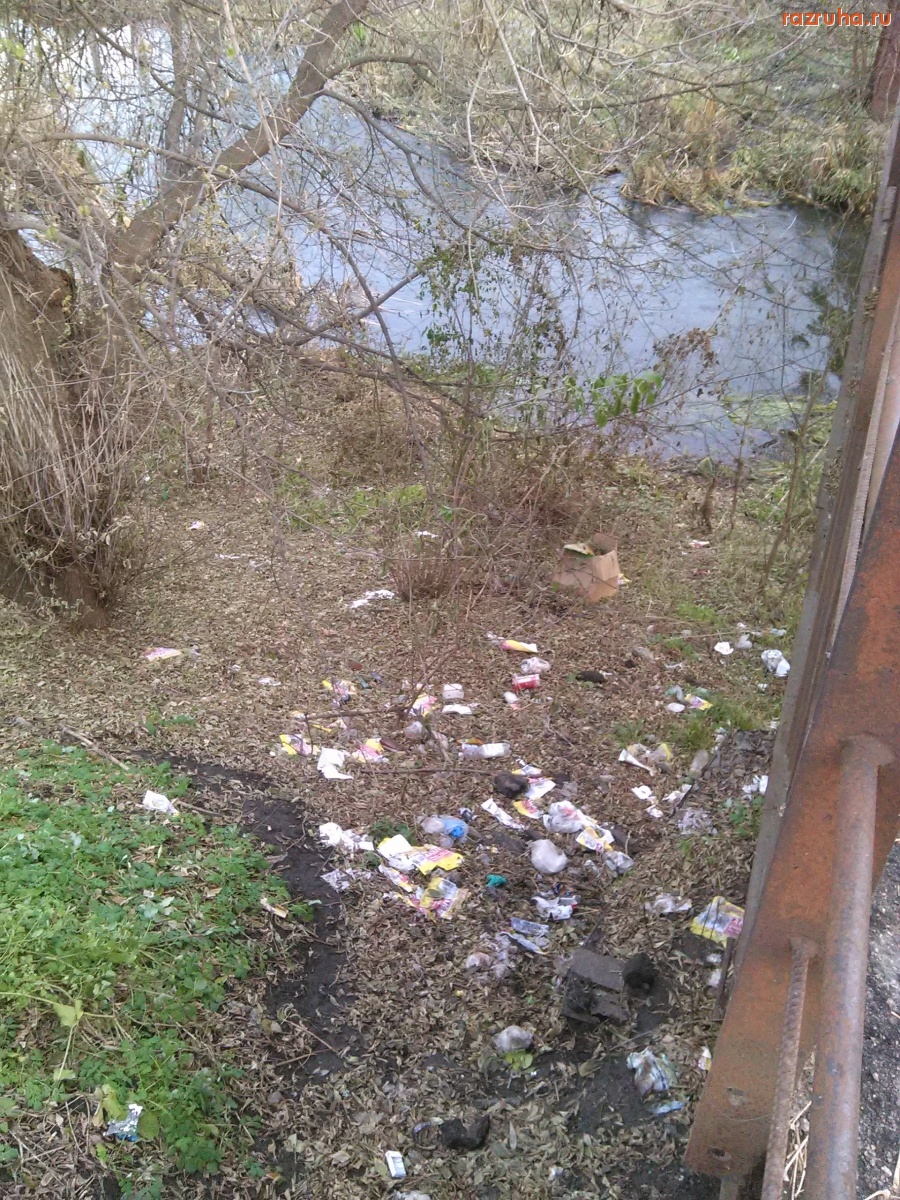 Курск - У моста гадят