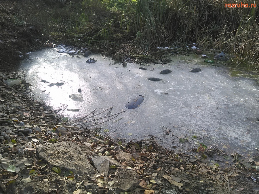 Курск - Болотце