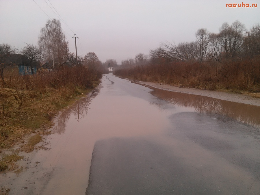 Курск - Лужа на дороге