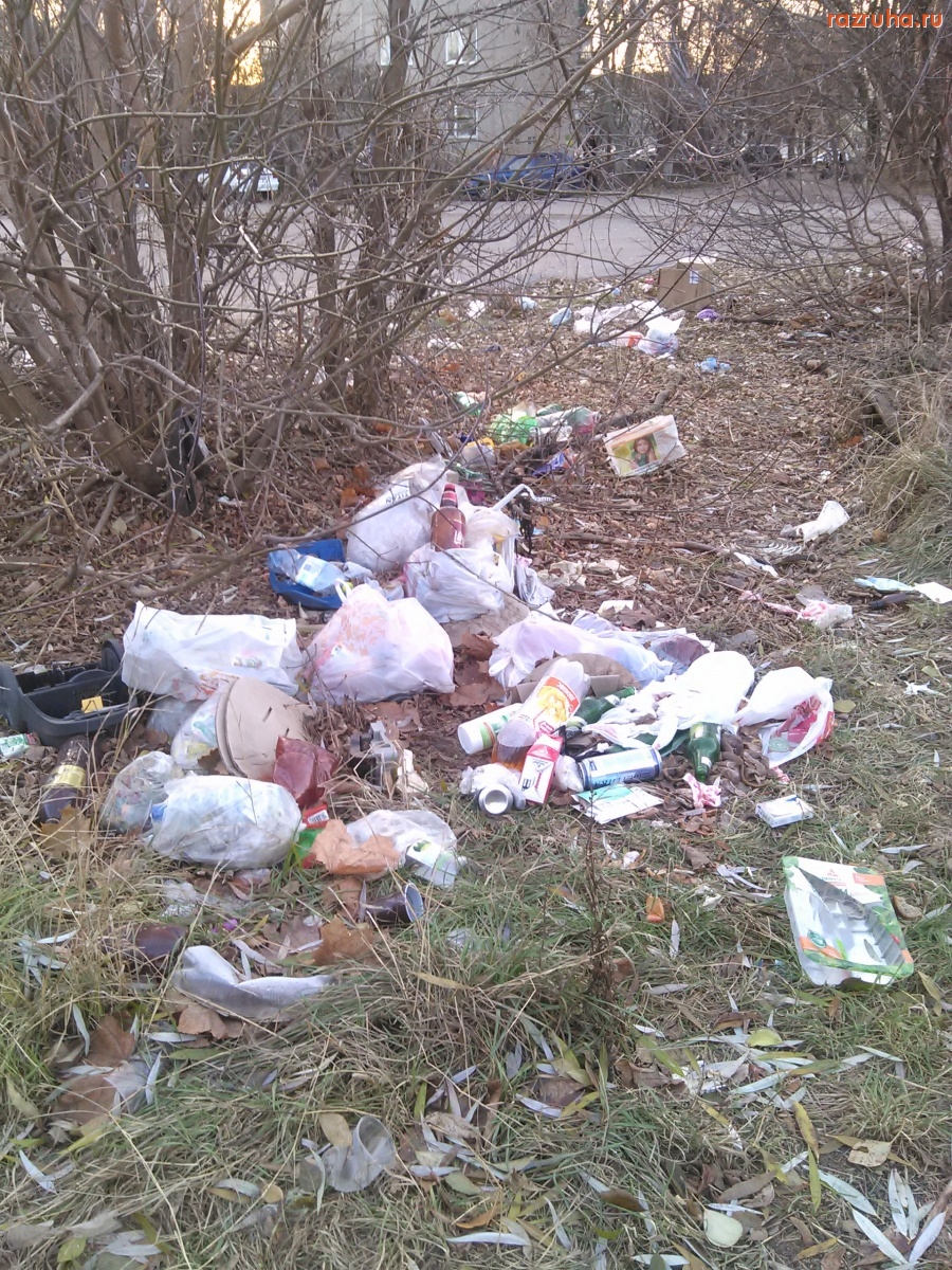 Курск - Проявление культуры