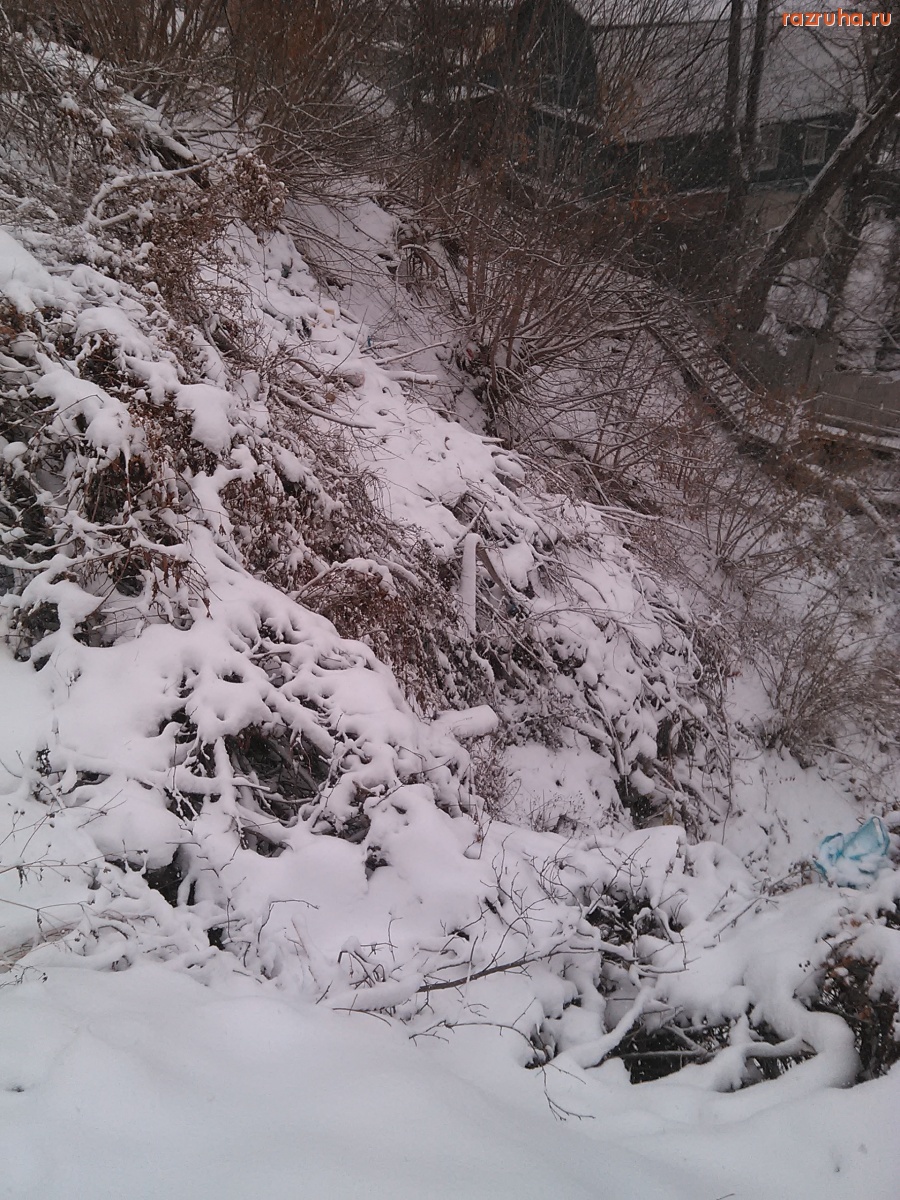 Курск - Только ветки