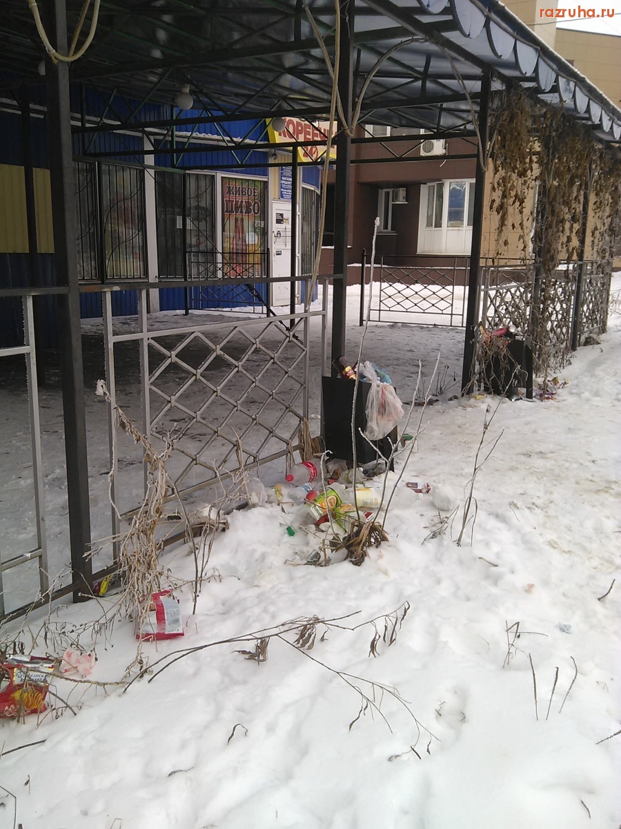 Курск - Быдло нагадило