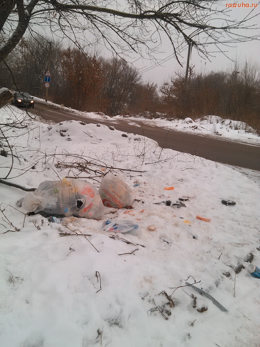 Курск - Пакетики с мусором
