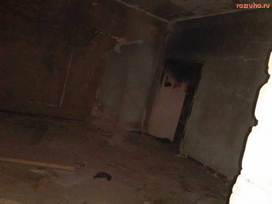 Курск - Зодиак