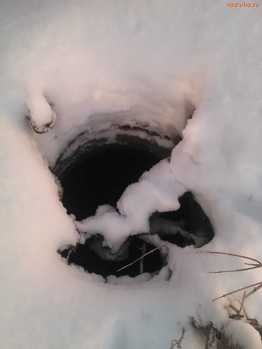 Курск - Люк в лесу на Победе